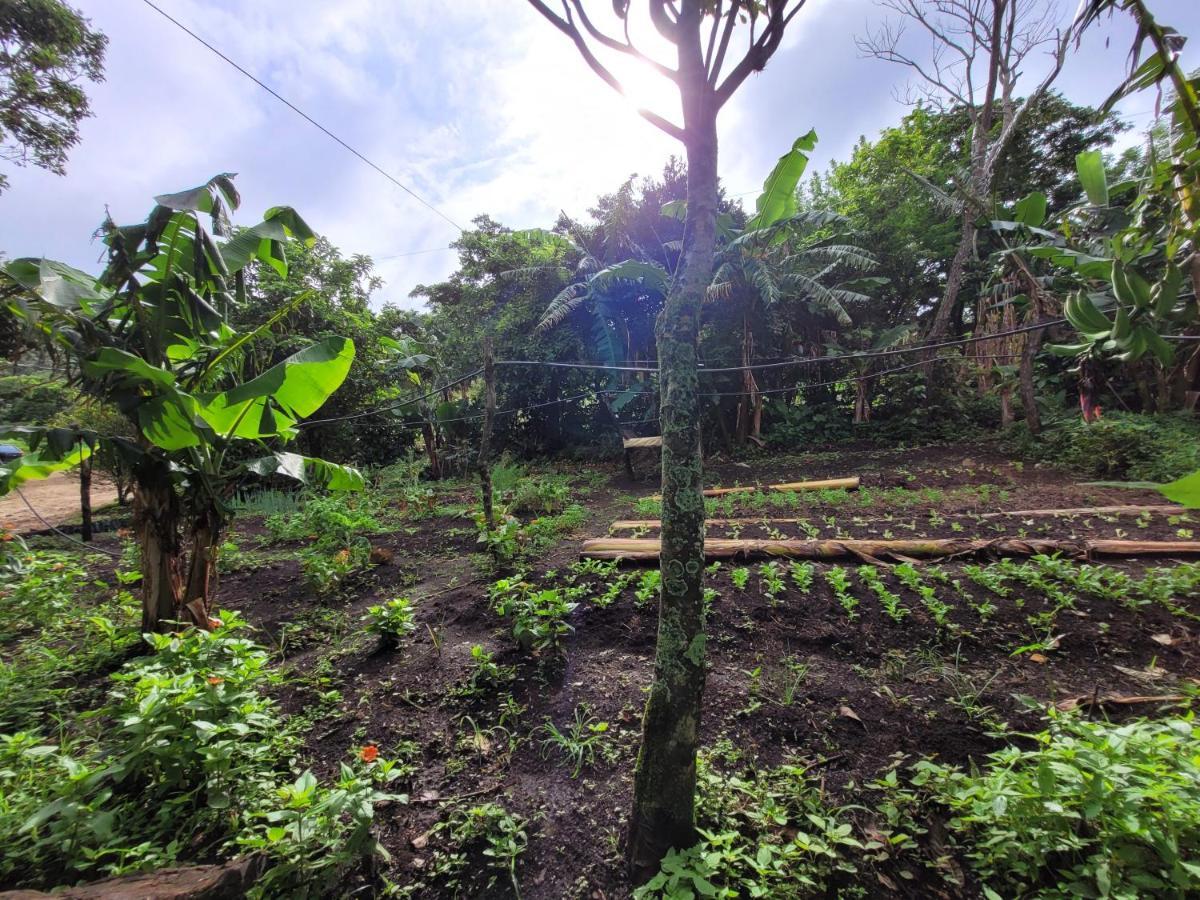Granja Orgánica los Campesinos Monteverde Exterior foto
